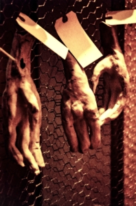 Chicken feet