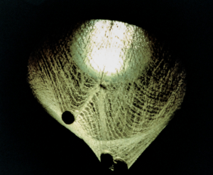Hall light detail 3