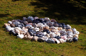 Make one thing. Make 83 of them.